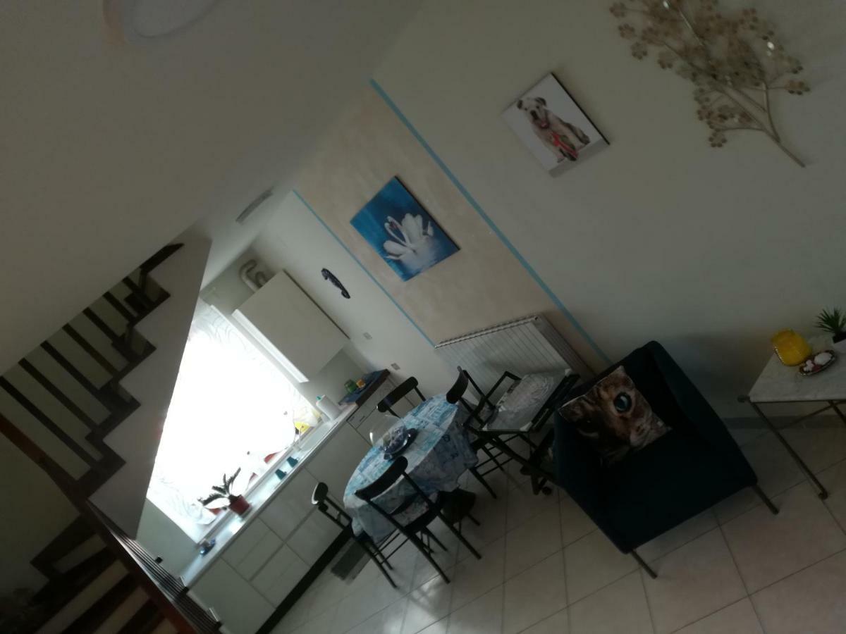Affittacamere Lo Scoiattolo Di Mannocchi Lorella Porto SantʼElpidio エクステリア 写真